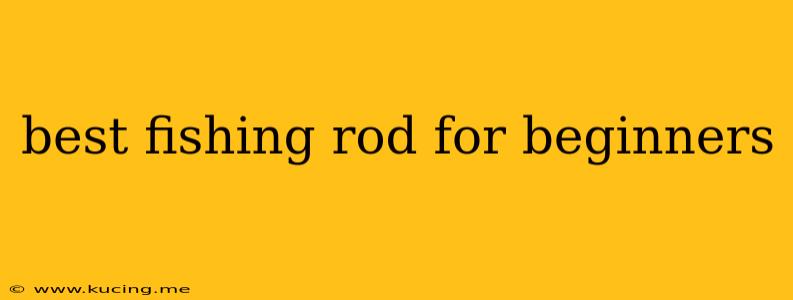 best fishing rod for beginners