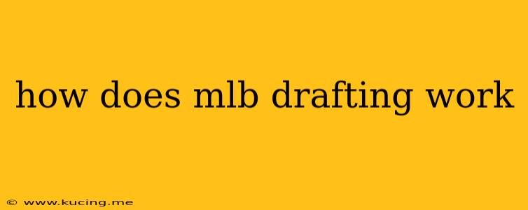 how does mlb drafting work