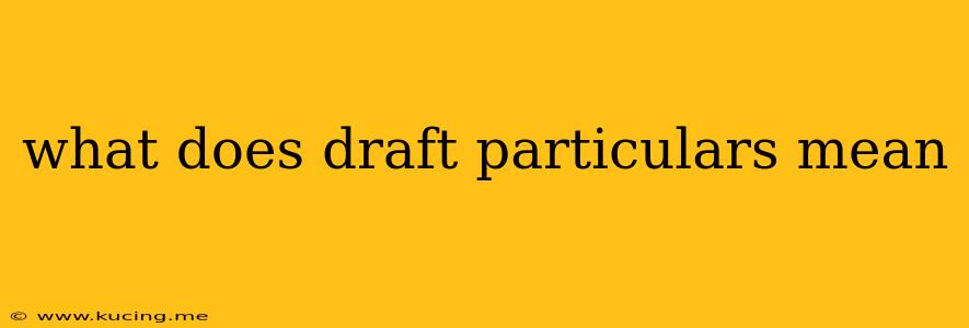 what does draft particulars mean