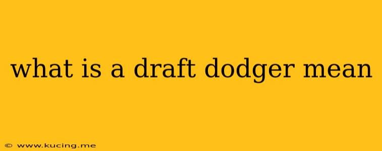 what is a draft dodger mean