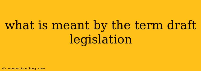 what is meant by the term draft legislation