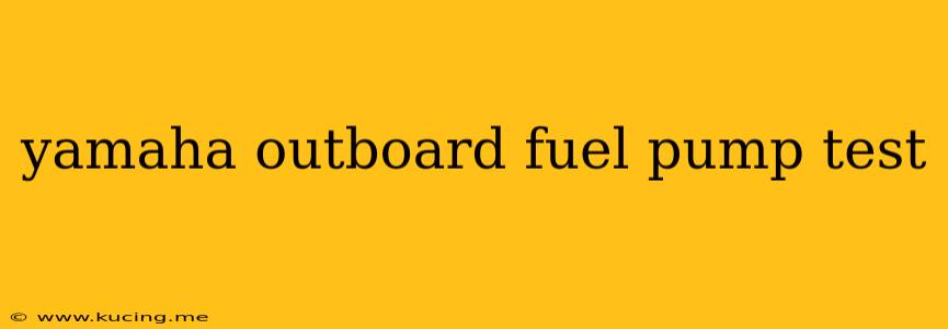 yamaha outboard fuel pump test